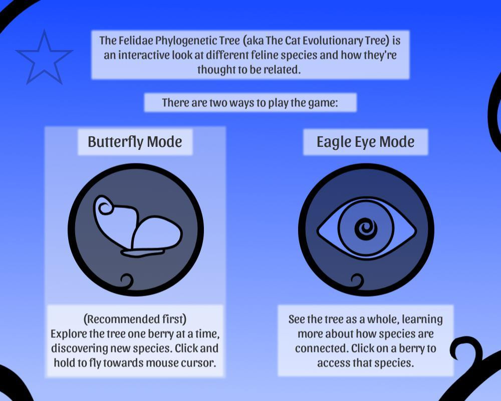 Felidae Phylogenetic Tree (itch) - кадр 2