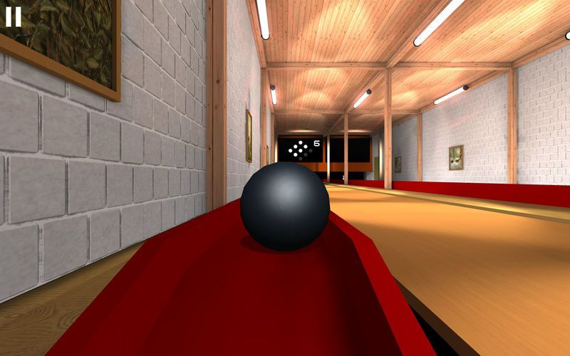 Ninepin Bowling - кадр 4