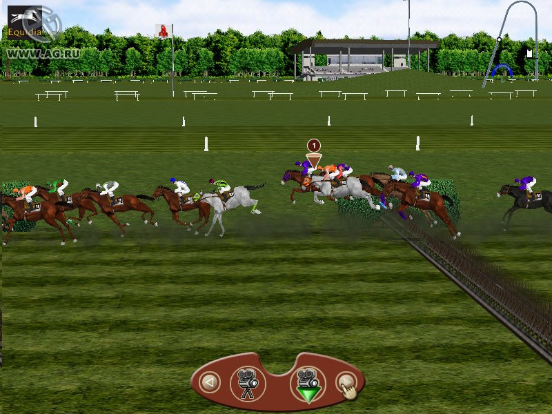 Horse Racing Manager - кадр 10