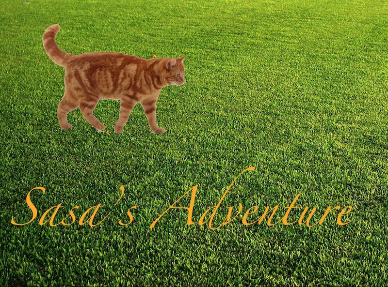 Sasa's Adventure (itch) - кадр 1