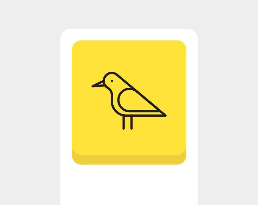 Match the Bird (itch) - кадр 1