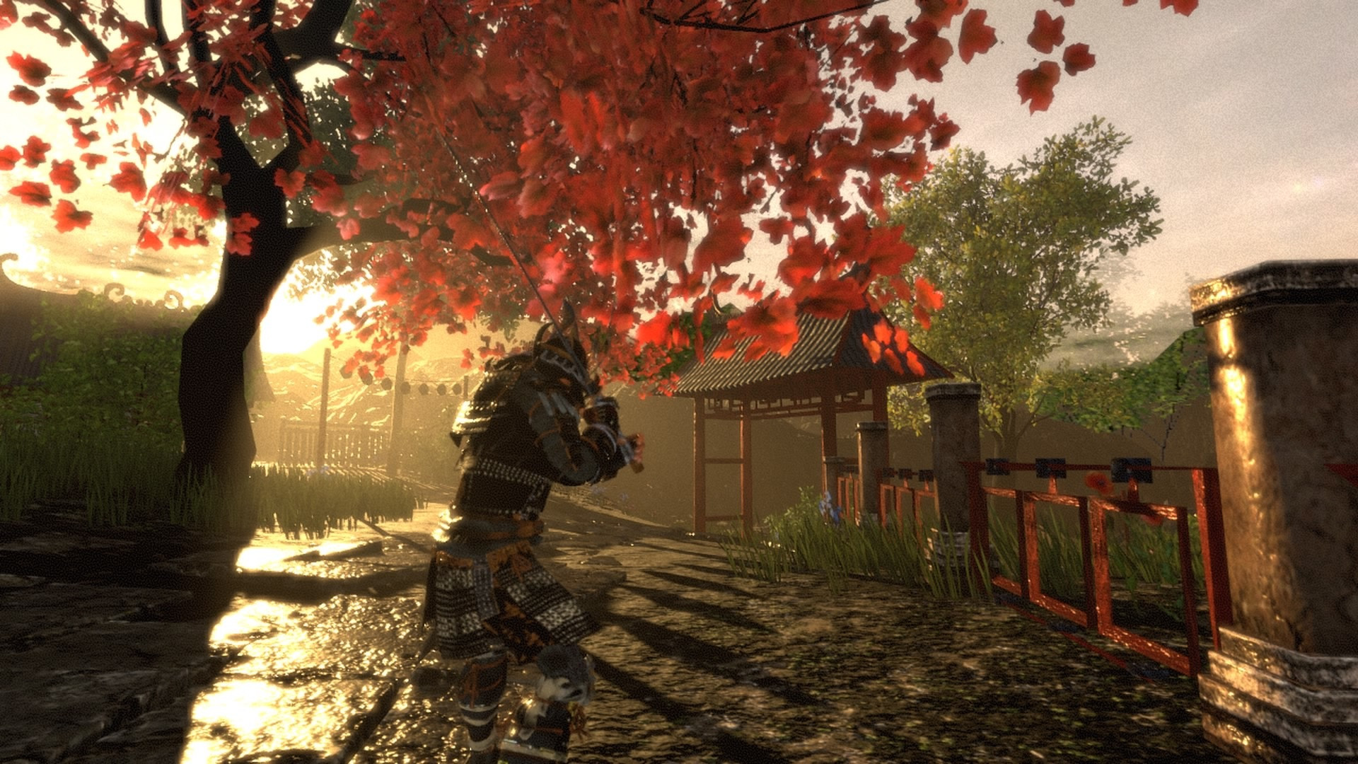 Shadow the Ronin - The Revenge to the Samurai - кадр 3