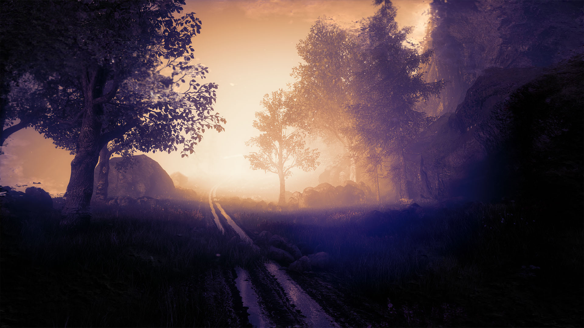 The Butterfly Sign: Human Error - кадр 8