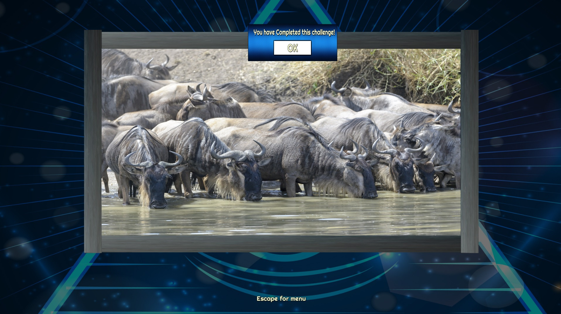 Trials of the Illuminati: Amazing Wildlife Jigsaws - кадр 3