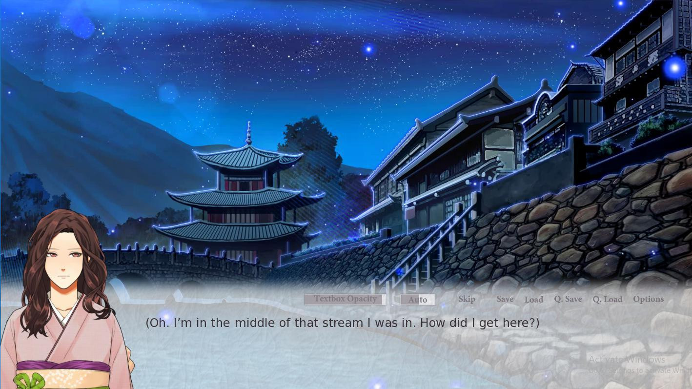 Wishes in Pen: Chrysanthemums in August (Demo) (itch) - кадр 2