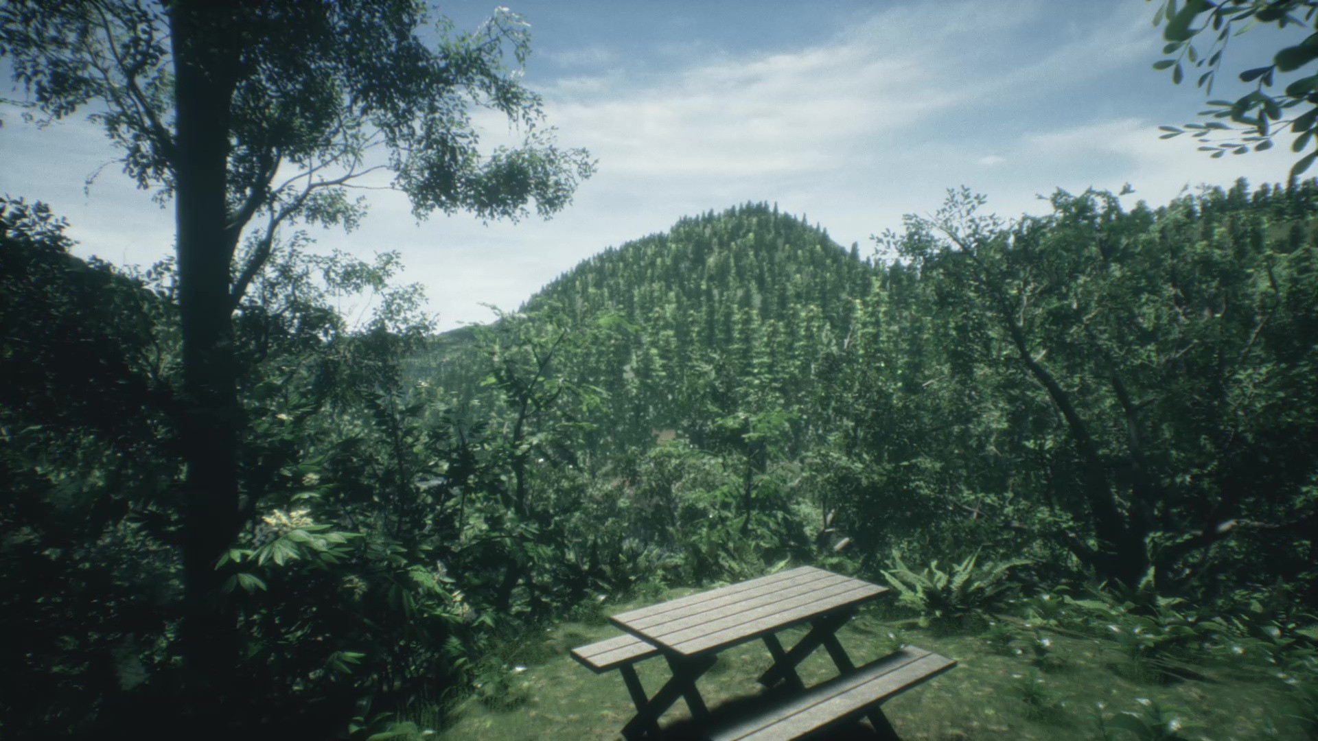 New Zealand Recreation (itch) - кадр 2
