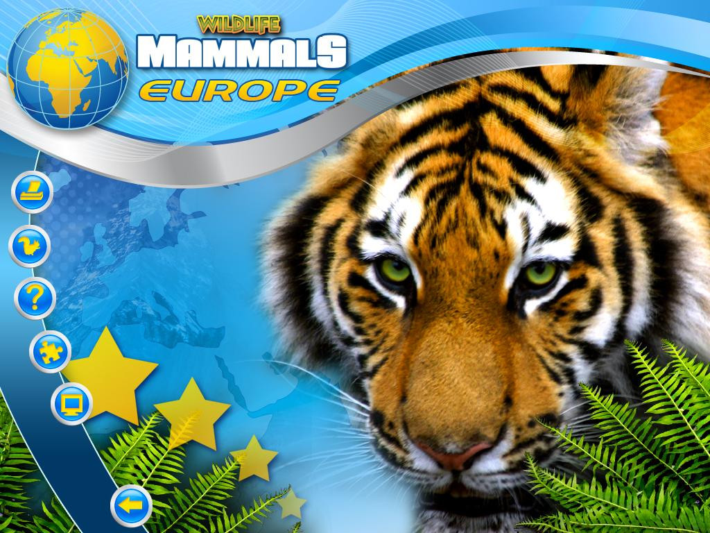 Wildlife Creative Studio - кадр 5