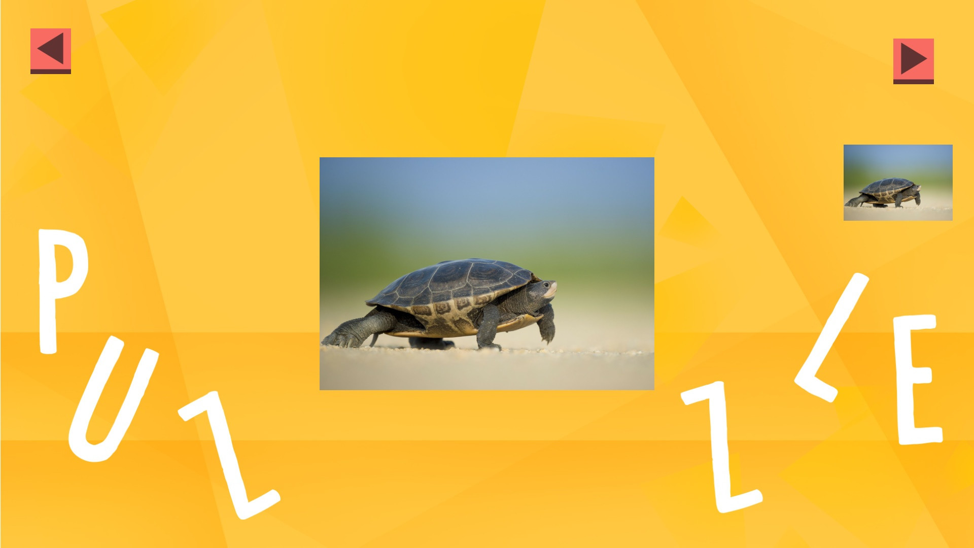 Game Of Puzzles: Animals - кадр 1