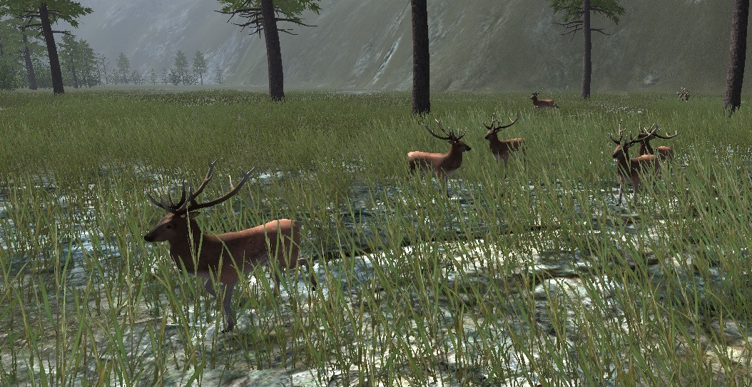FOREST HUNTING 3D (itch) - кадр 4