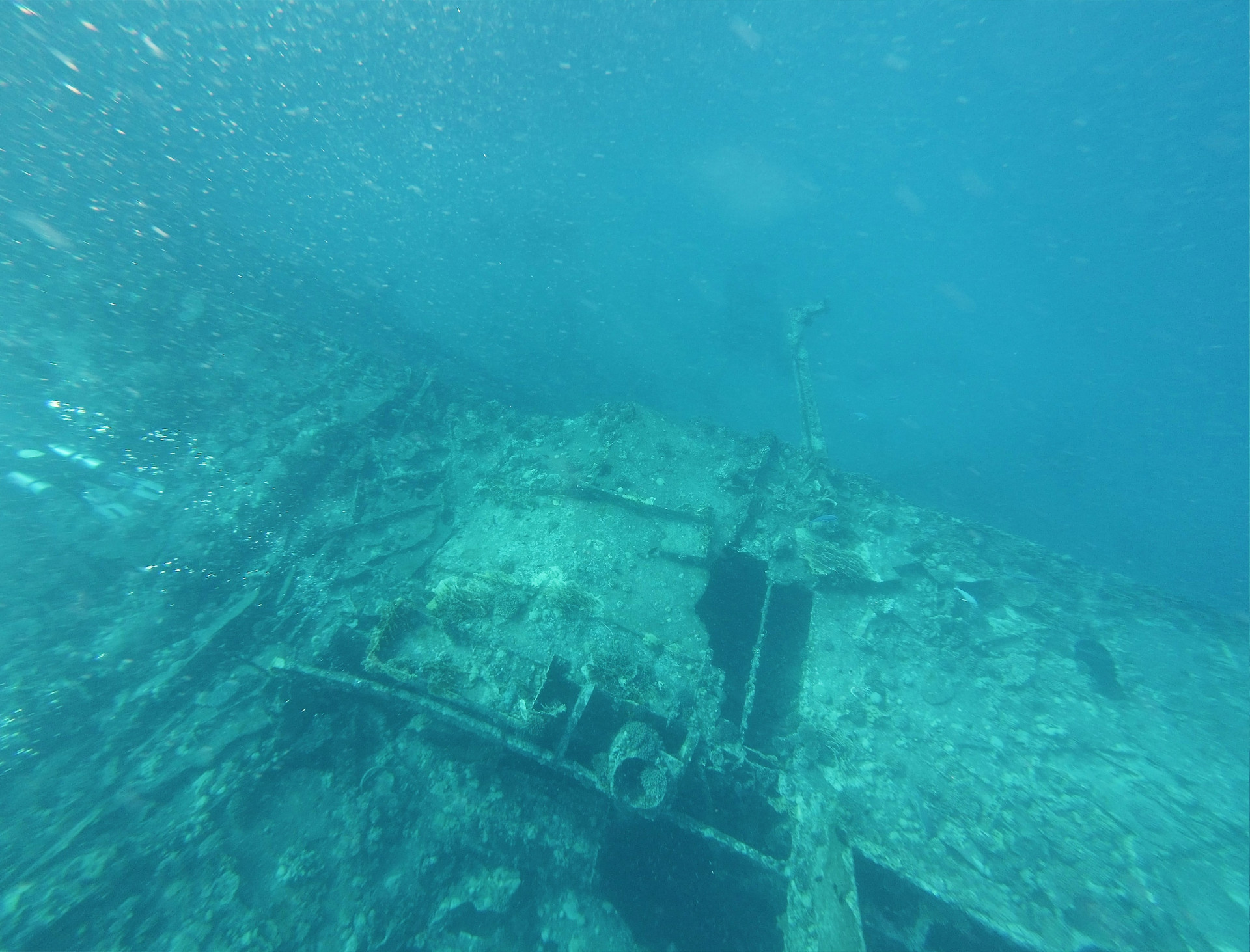 Diving on the Red sea - google cardboard VR (itch) - кадр 3
