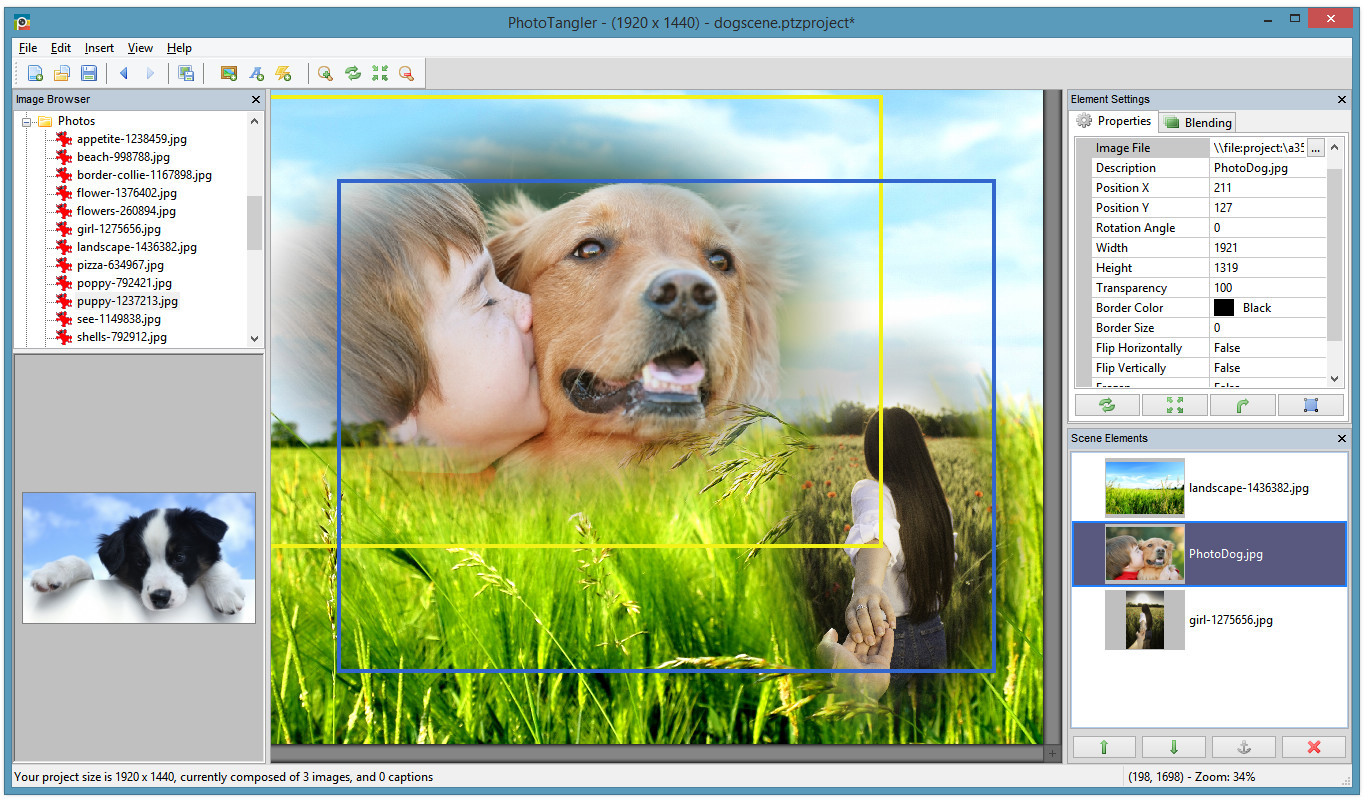 PhotoTangler Collage Maker - кадр 2