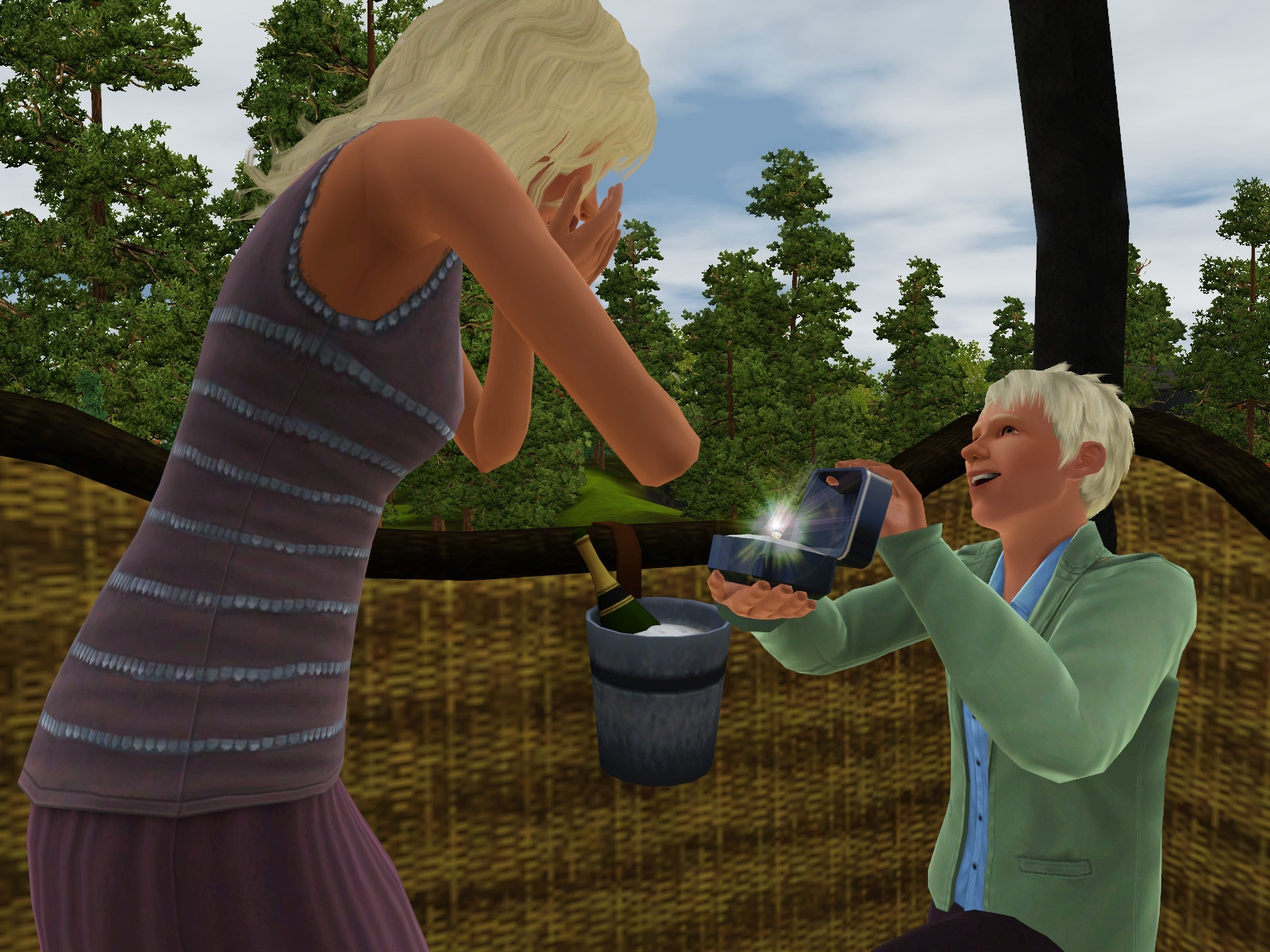 The Sims 3: Aurora Skies - кадр 1
