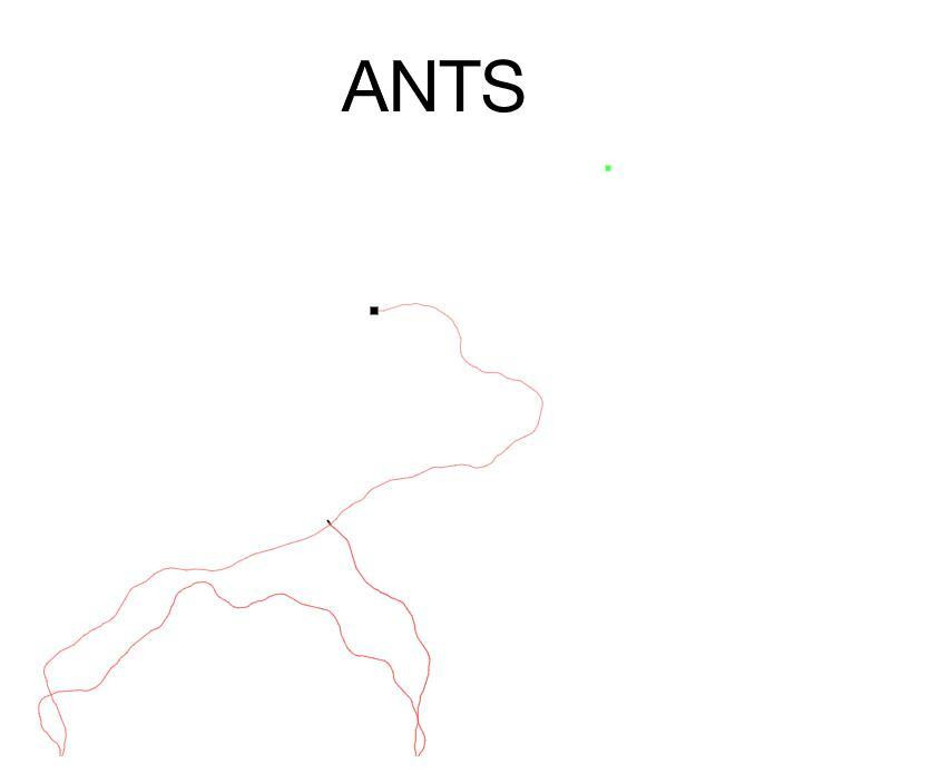 Ants (AllManyLots) (itch) - кадр 1