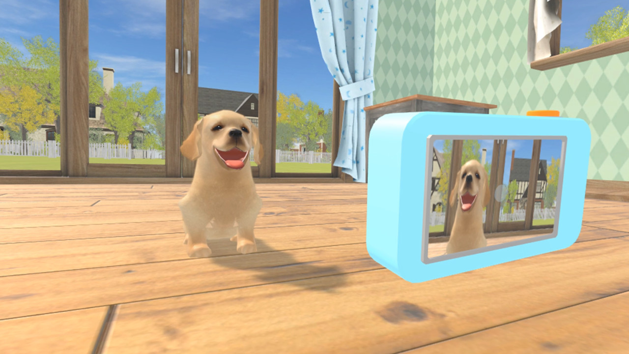 Dream Pet VR - кадр 3