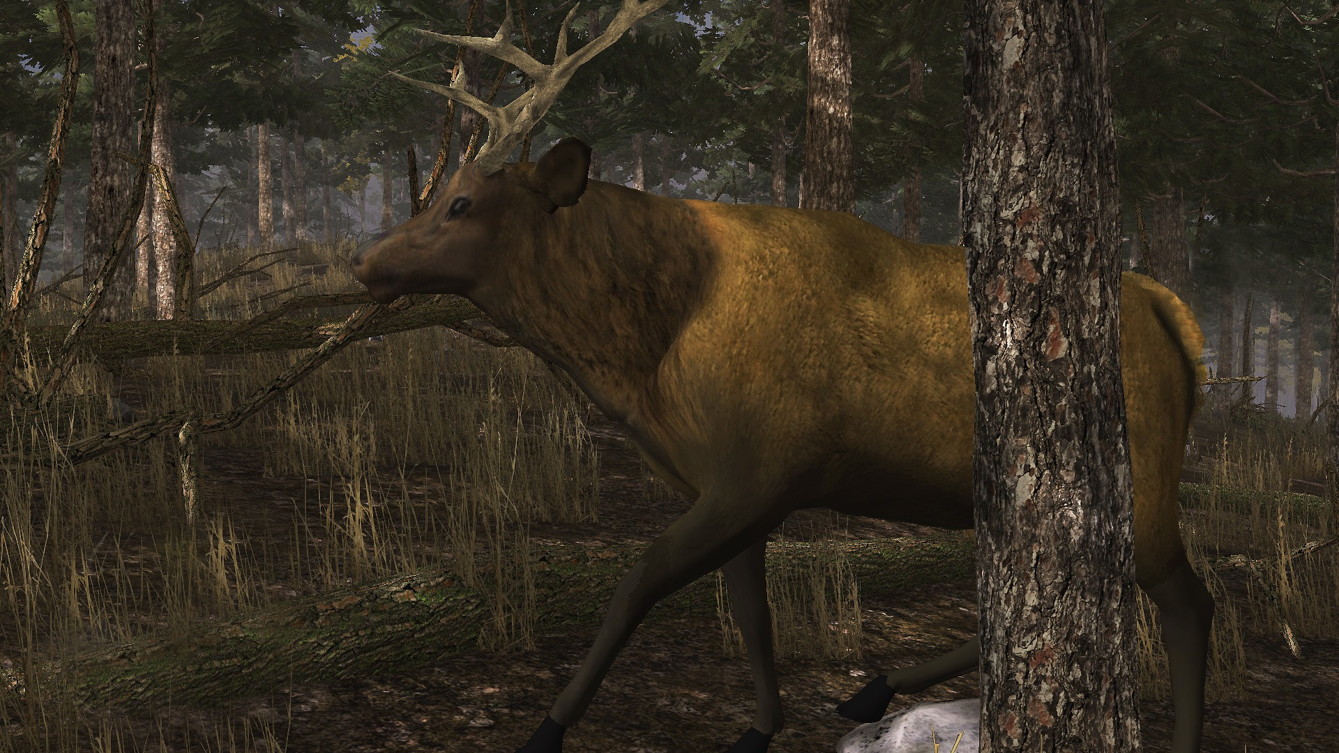 Elk Simulator - кадр 5