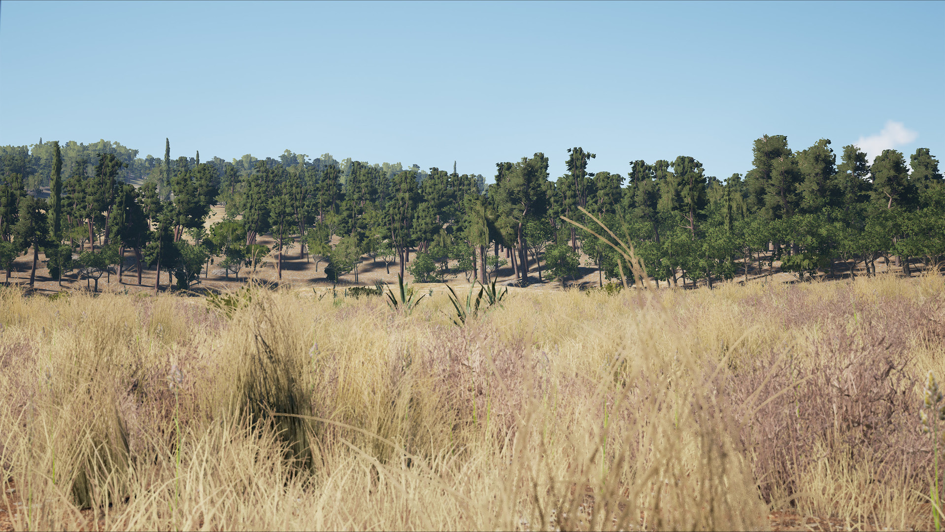SCUM - кадр 8