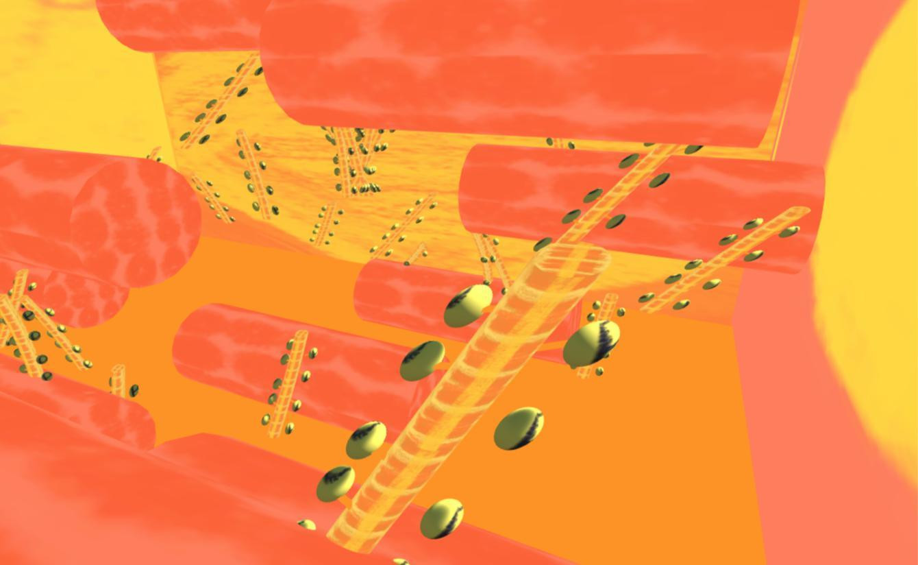 Reverse Alzheimer's (itch) - кадр 2