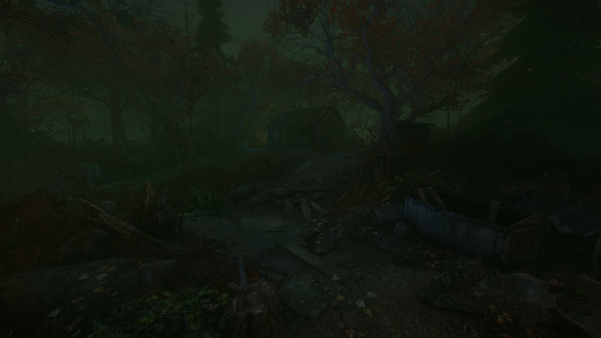 The Cursed Forest - кадр 5