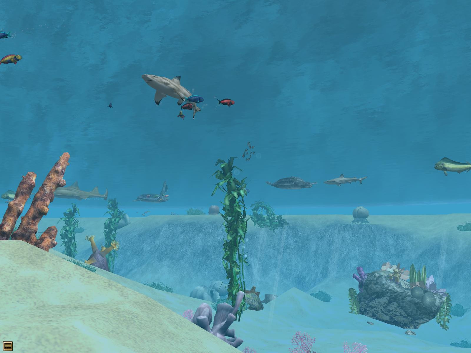Wildlife Park 2: Marine World - кадр 8
