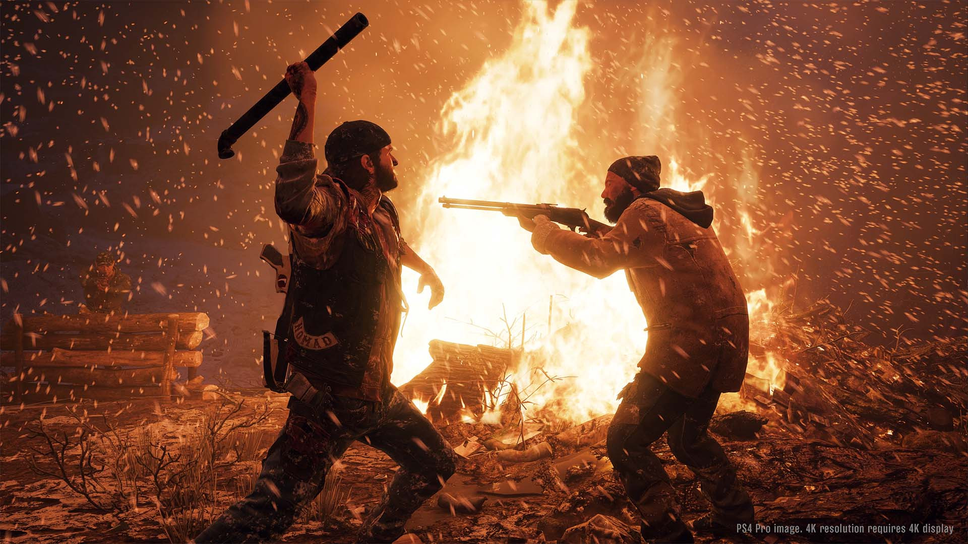 Days Gone - кадр 12