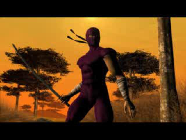 Ninja: Shadow of Darkness - кадр 4
