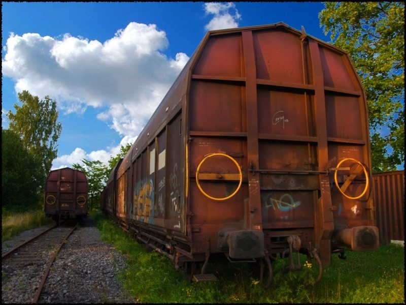 Black Circle: A Carol Reed Mystery - кадр 7