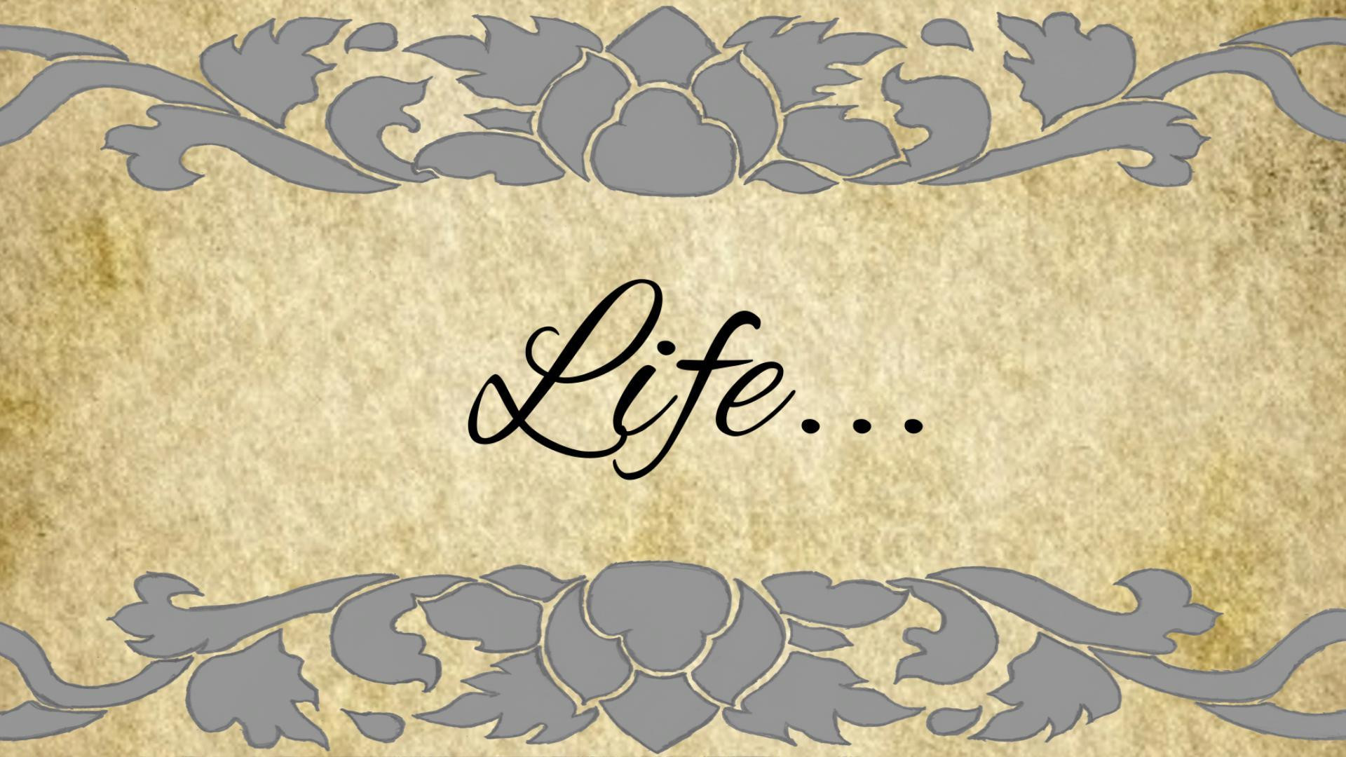 The Life Cycle (itch) - кадр 3