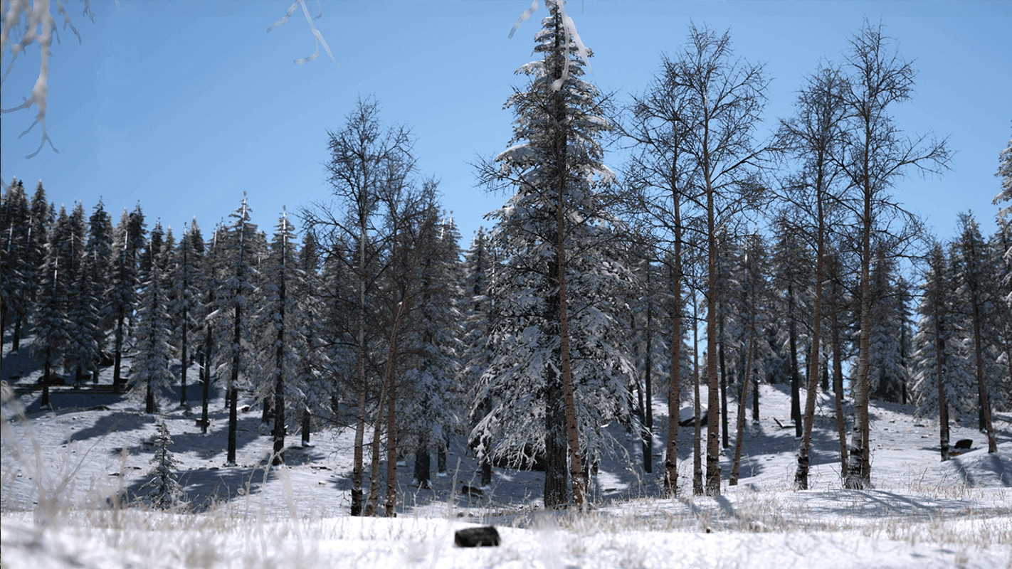 NEW LIFE: LIFE RPG (itch) - кадр 3