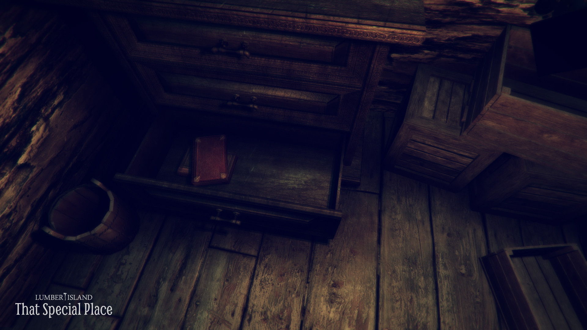 Lumber Island - That Special Place - кадр 7