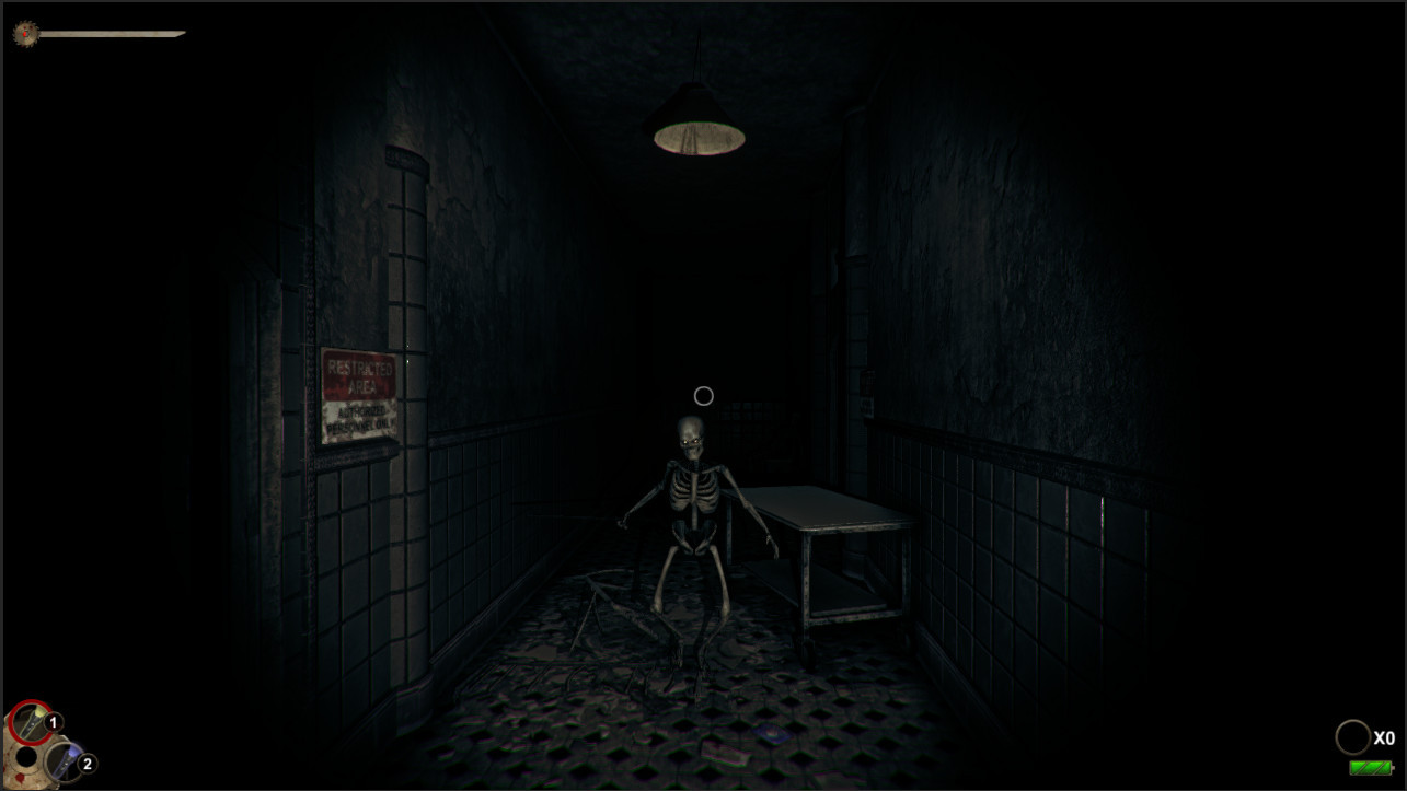 Horror in the Asylum - кадр 2