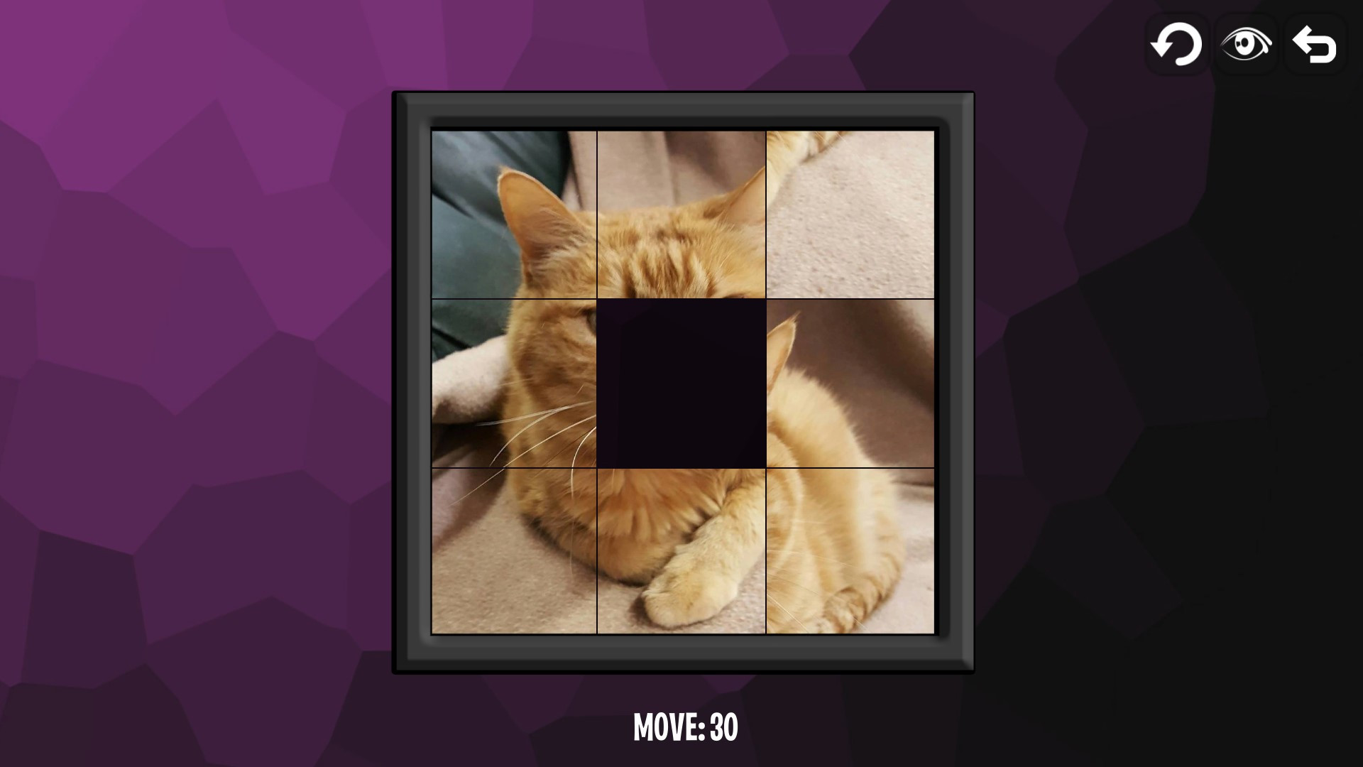 Intelligence: Cats - кадр 2