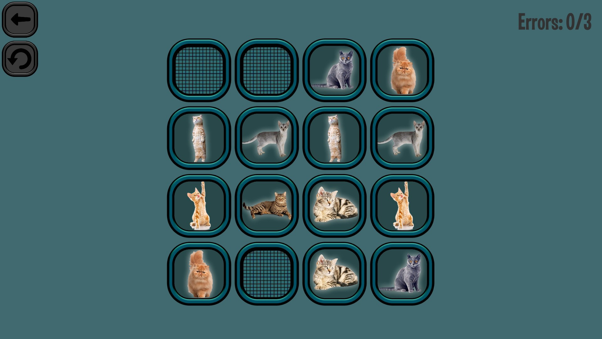 Animals Memory: Cats - кадр 5