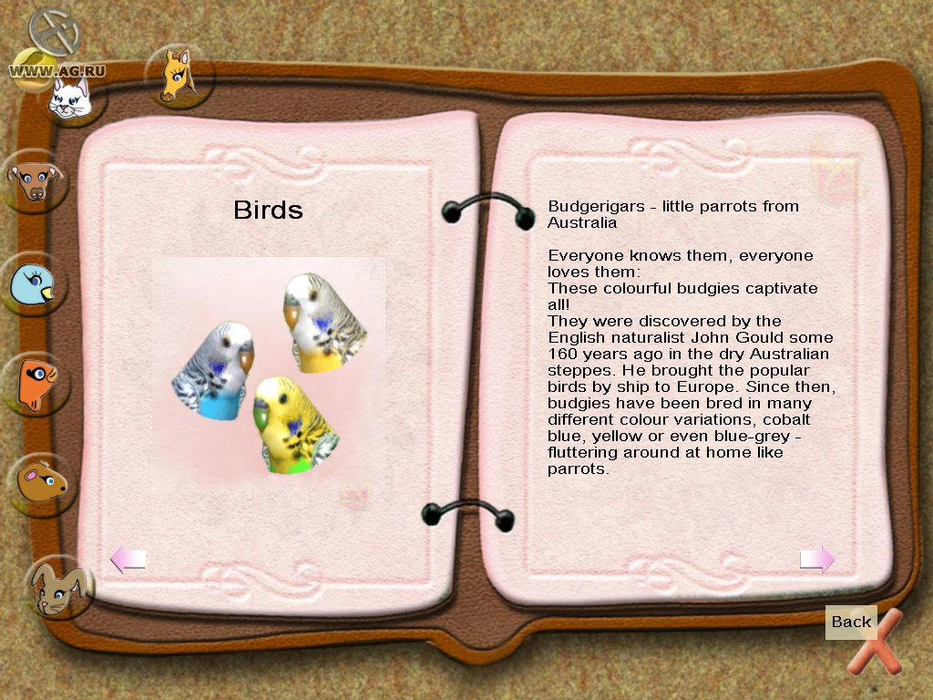 Paws & Claws: Pet Resort - кадр 7