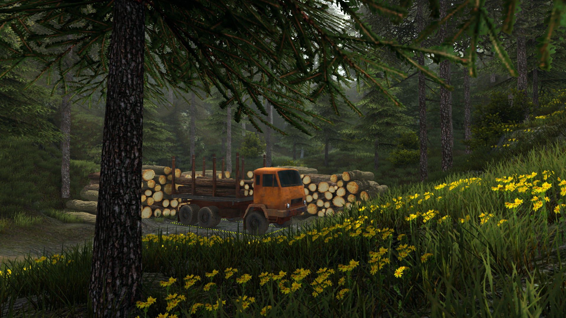 Professional Offroad Transport Simulator - кадр 13