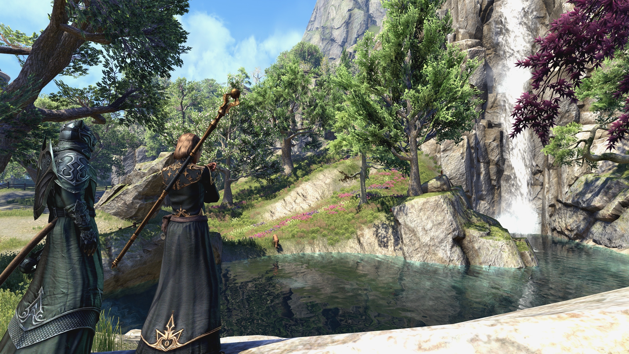 The Elder Scrolls Online: Summerset - кадр 9