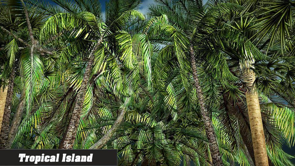 Island Simulator 2016 (itch) - кадр 3