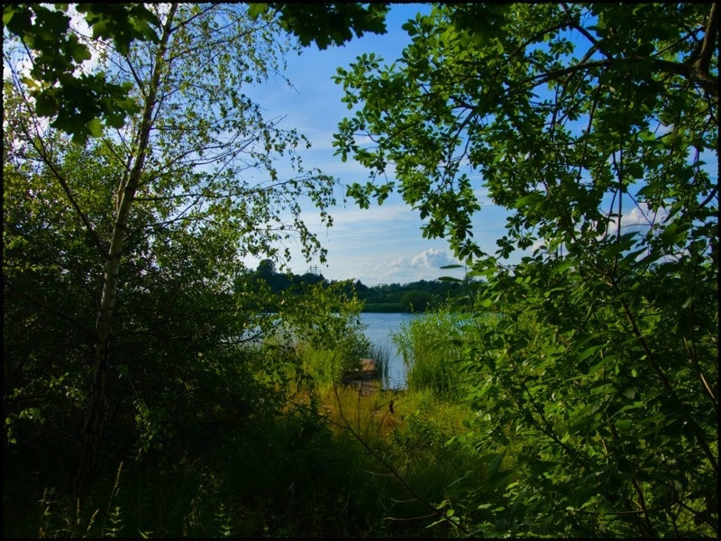 Black Circle: A Carol Reed Mystery - кадр 8