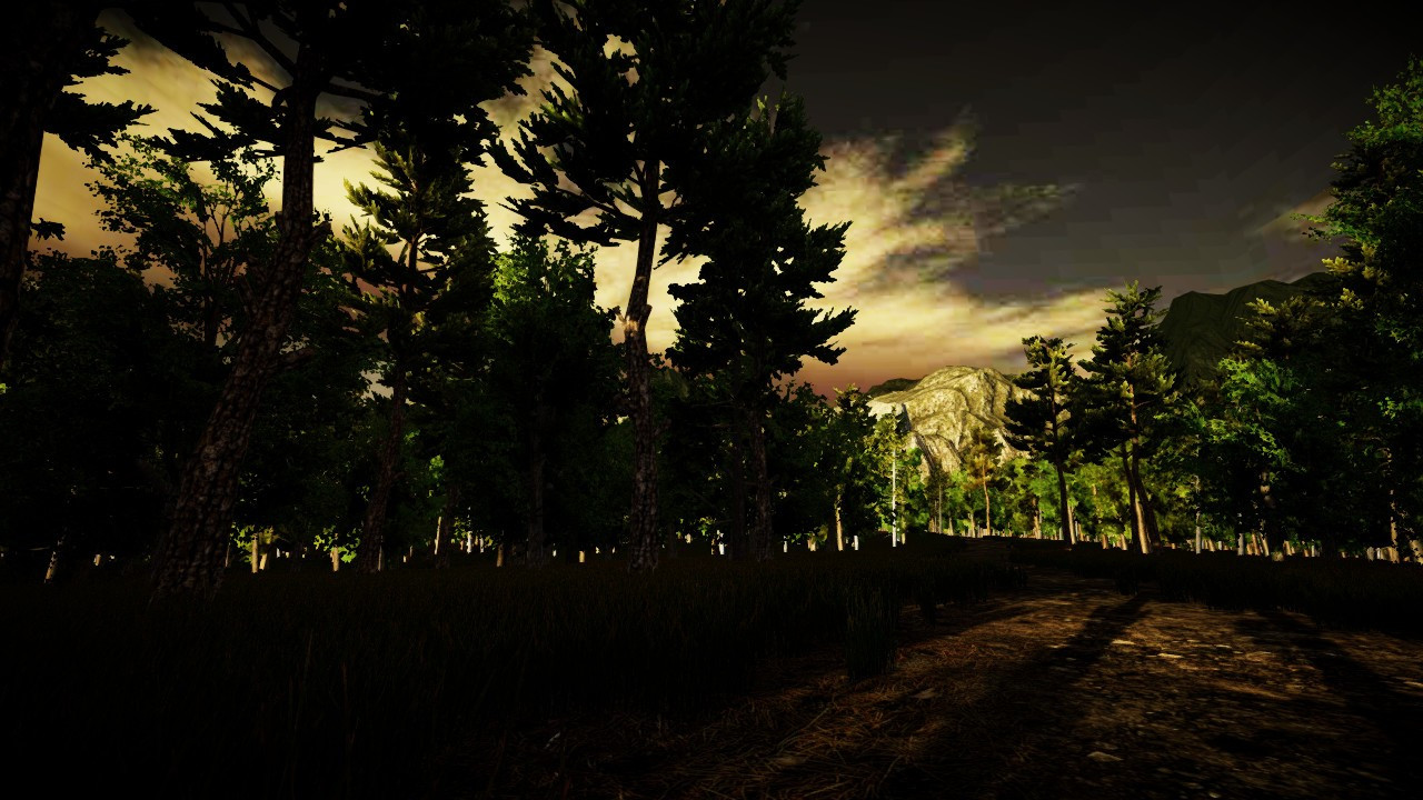 The Secrets of The Forest - кадр 6