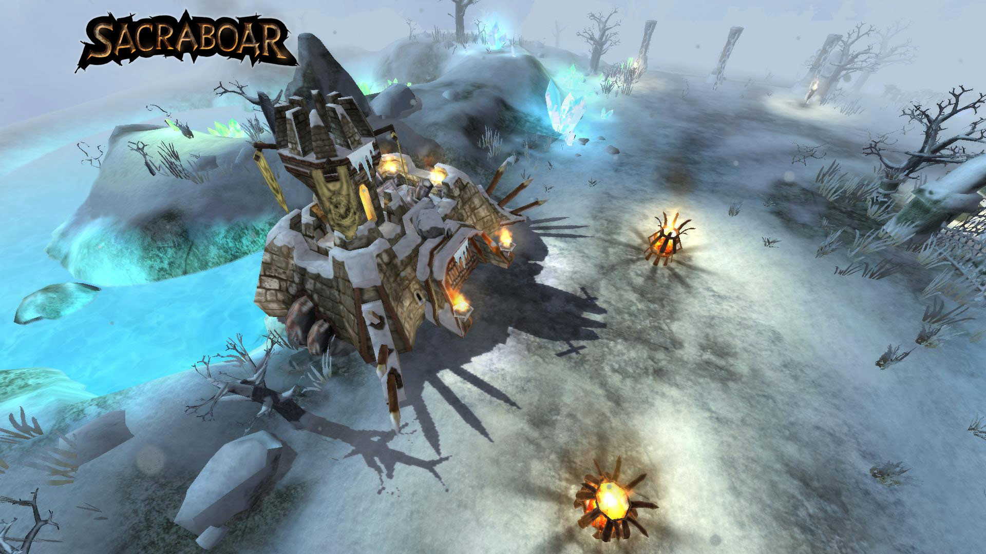 Sacraboar - кадр 8