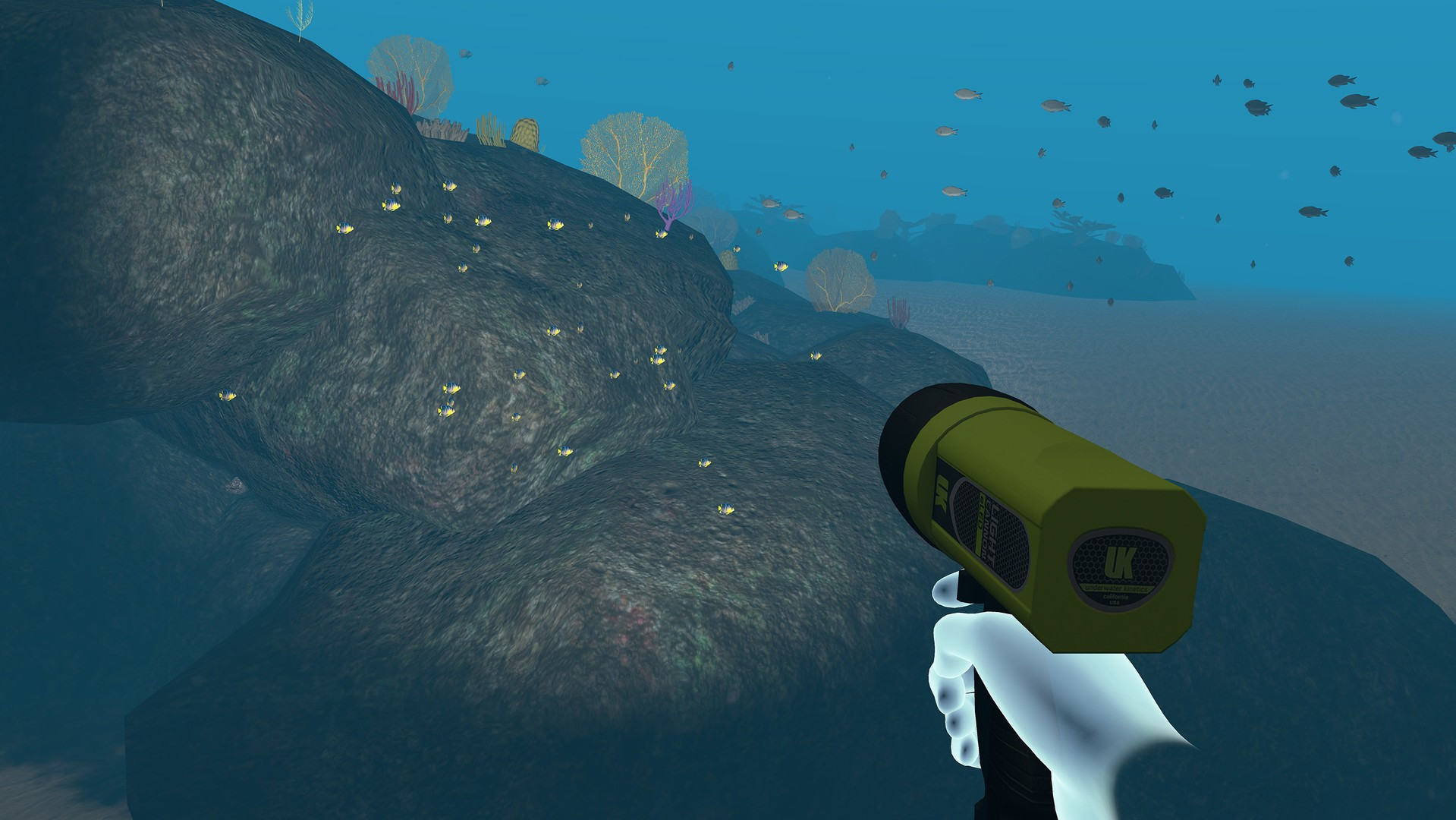 Dive with Sylvia VR - кадр 8