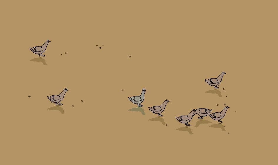 Pigeon (itch) - кадр 3