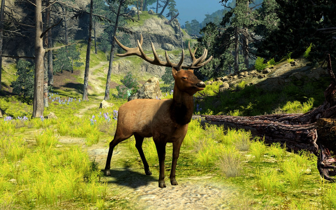 Cabela's Big Game Hunter 2010 - кадр 9
