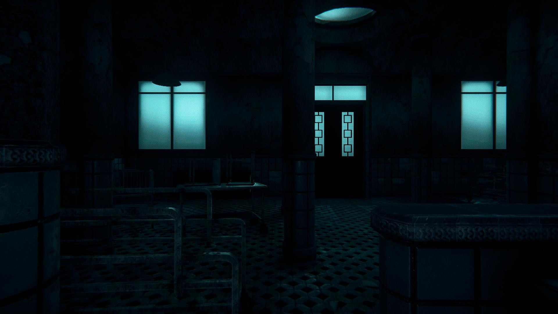 Kirkbrook Lunatic Asylum (itch) - кадр 4