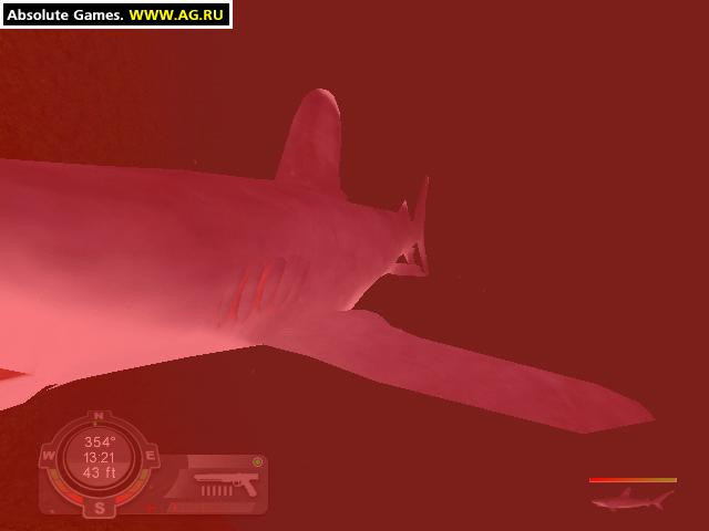 Shark! Hunting the Great White - кадр 6