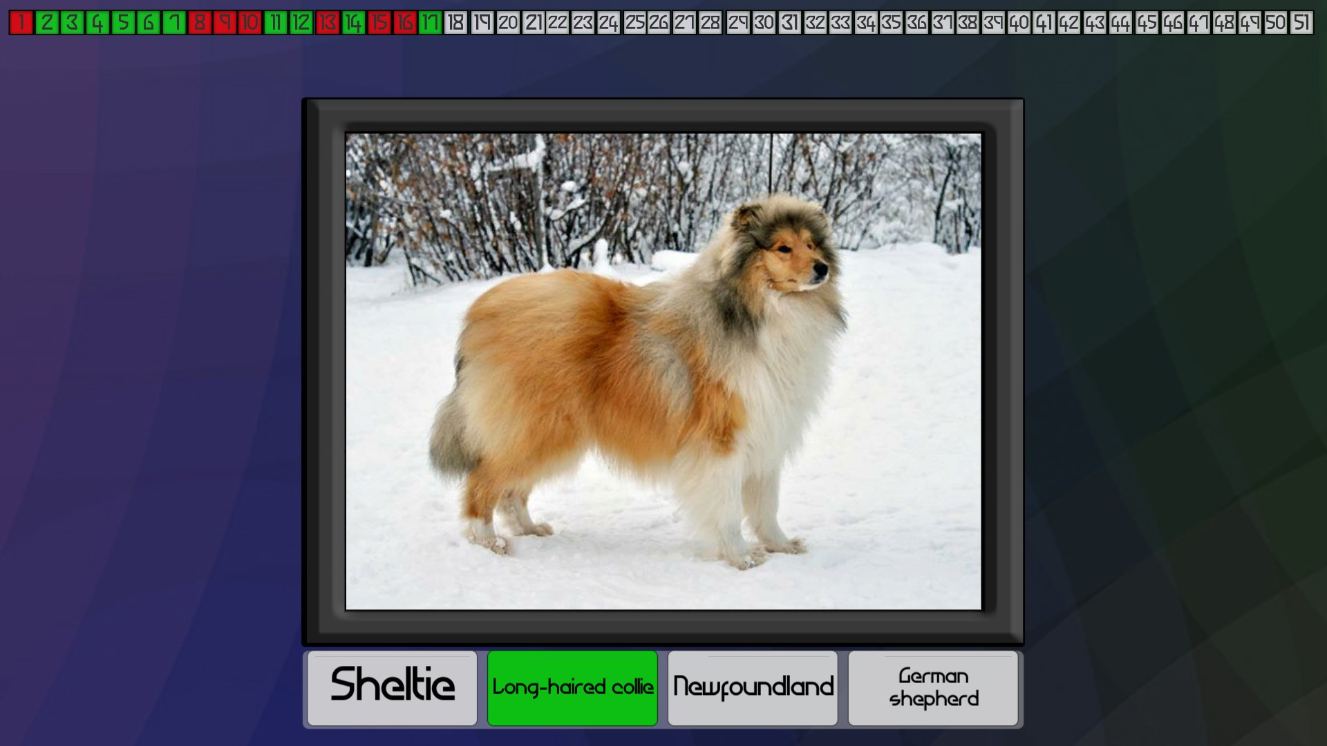 Test your knowledge: Dogs - кадр 3
