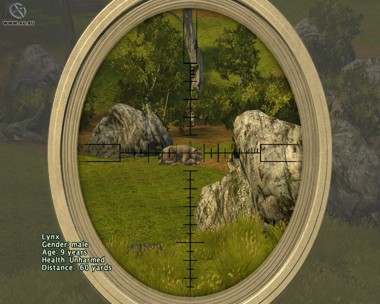 Cabela's Big Game Hunter 2009 - кадр 1