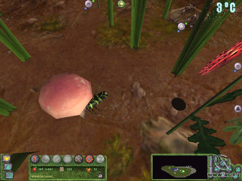 Empire Of The Ants - кадр 8