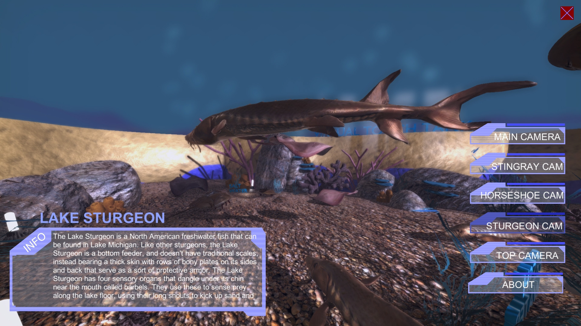 Virtual Aquarium (Discovery World Touch Tank) (itch) - кадр 3