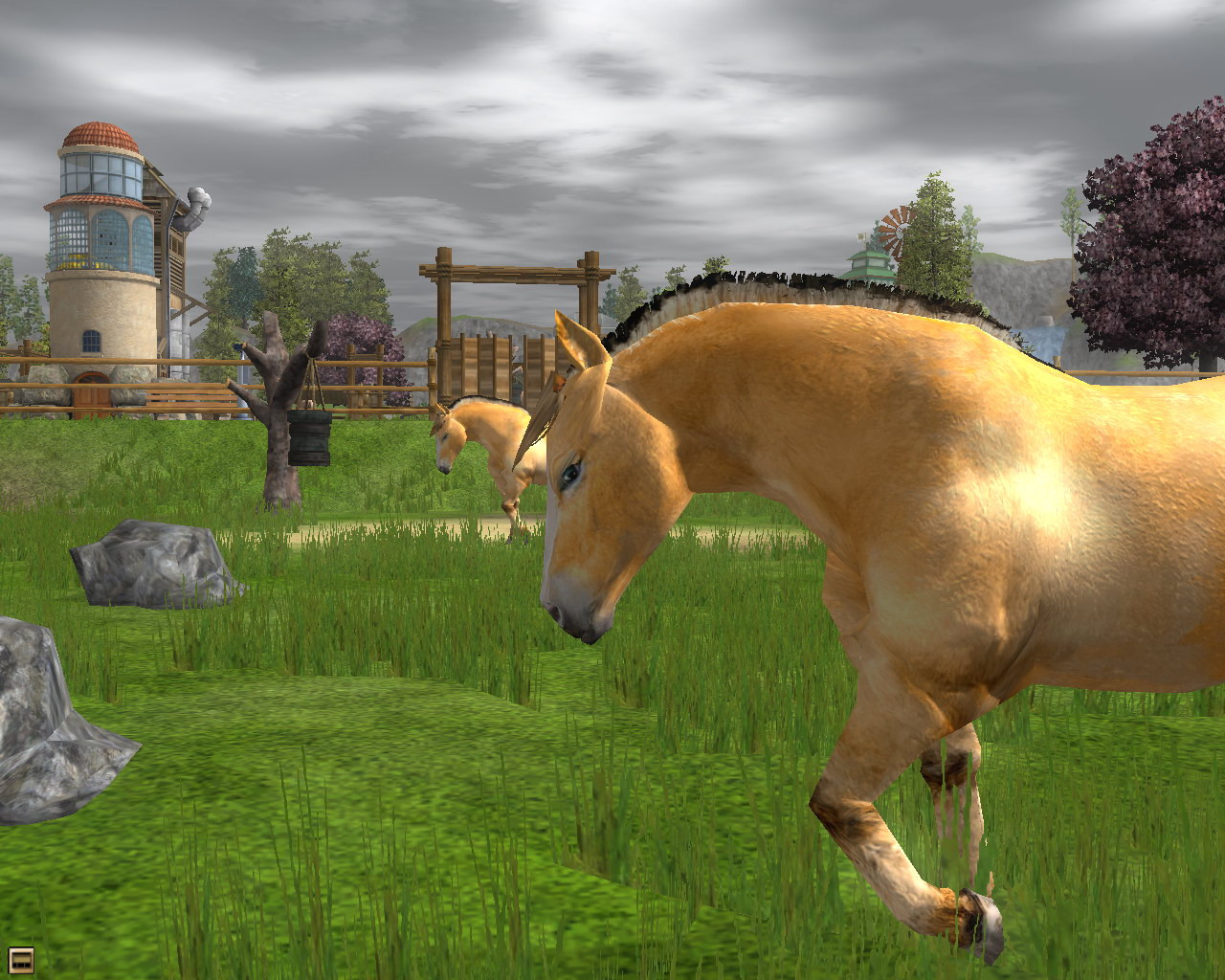 Wildlife Park 2: Horses - кадр 9