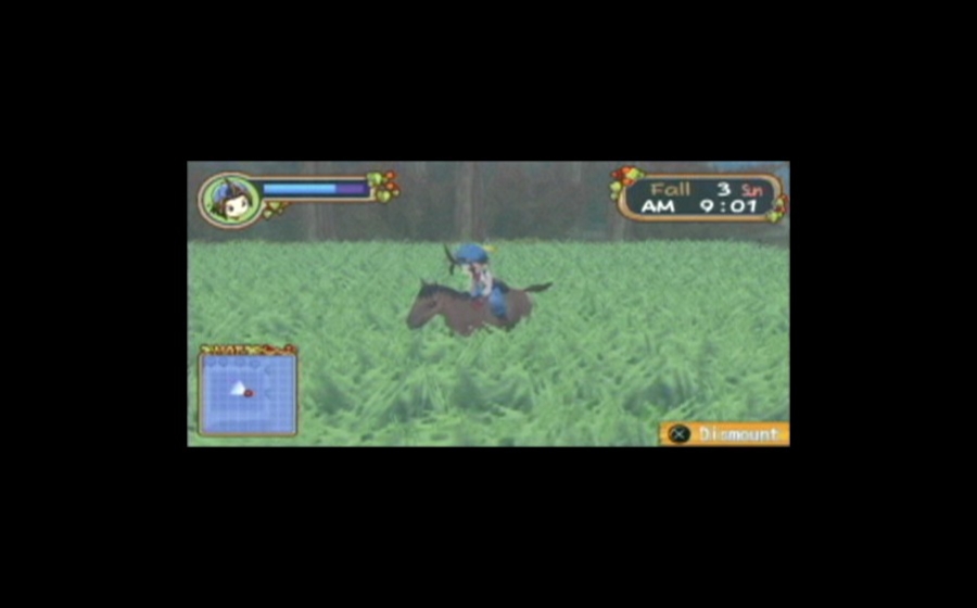 Harvest Moon: Hero of Leaf Valley - кадр 11